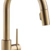 Delta Faucet Trinsic Gold Kitchen Faucet