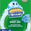 Scrubbing Bubbles Toilet Tablets